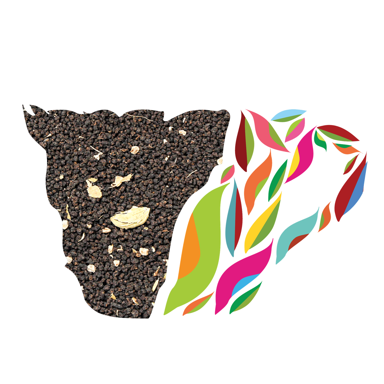 Delight Everyday - Image 2